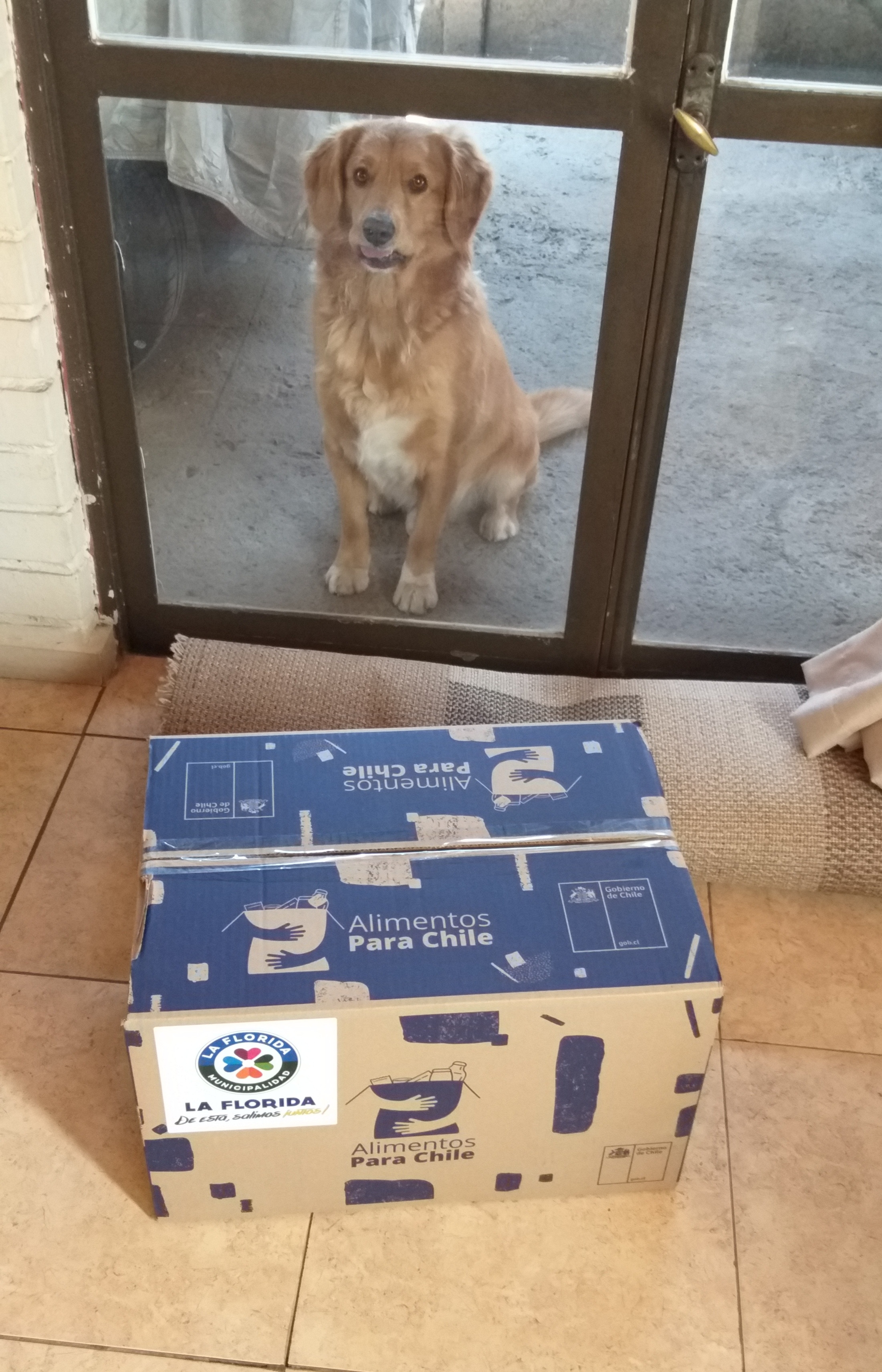 Alimentos para Chile.